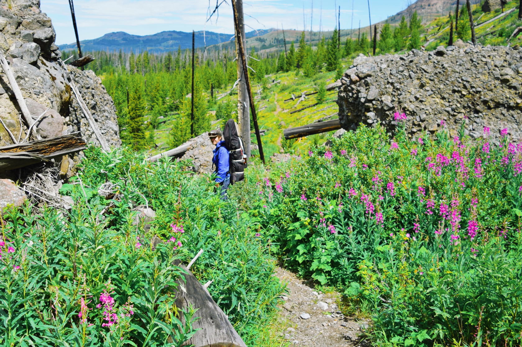 Person backpacking through wildflowers and greenery.