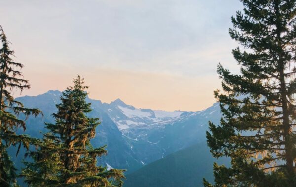 Sunset over mountains and pine trees