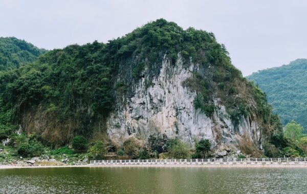 Landscape photo of a big limestone wall covered in greenery along the coast of the ocean.