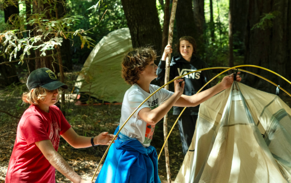 Three campers working together to set up a tent in the woods.