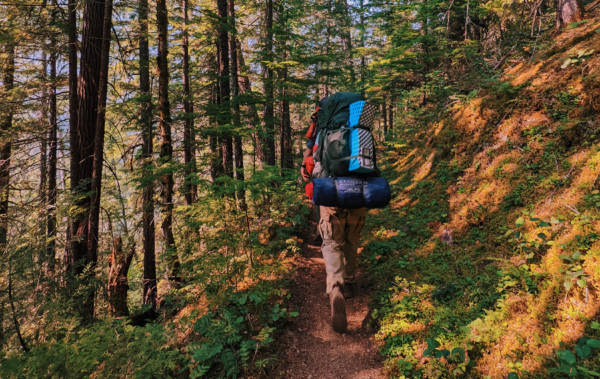 Backpacker hiking through dense green forest