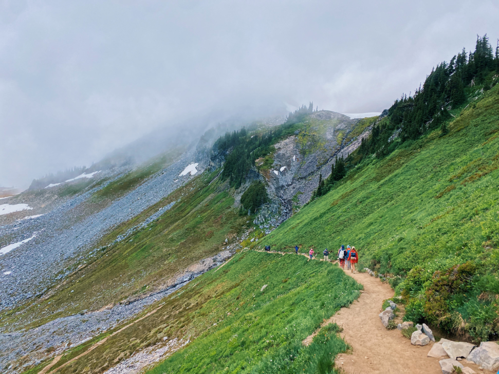 Group of people hiking down a trail surrounded by greenery and fog.