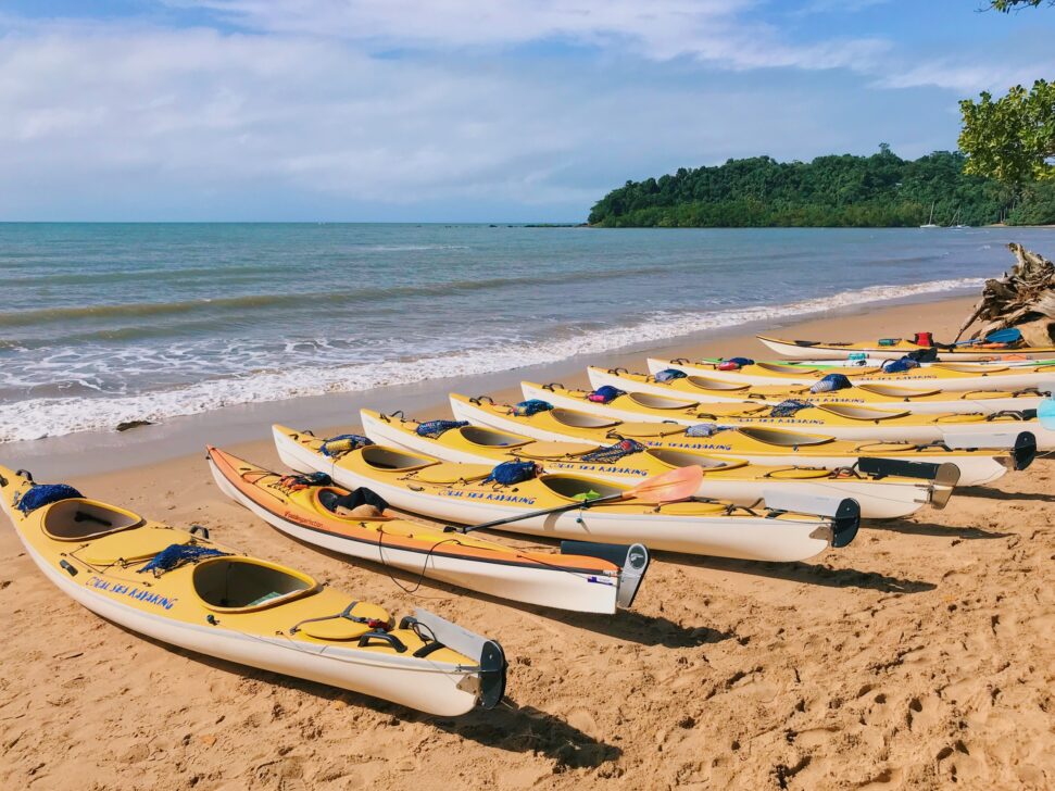 A bunch of yellow kayaks lined up on the shore of a beach.