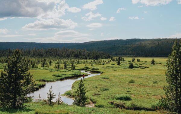 Student fly fishing in remote river in Yellowstone.